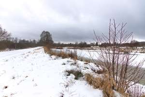 rybník Výtažník 1