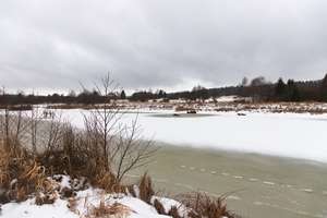 rybník Výtažník 3