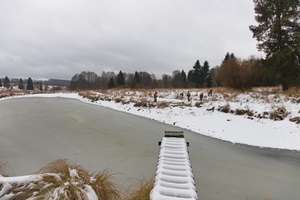 rybník Ledvinka vysekávání chrastice