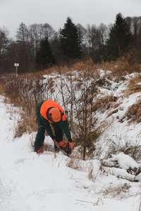rybník Ledvinka, vyřezávání náletových dřevin - olší