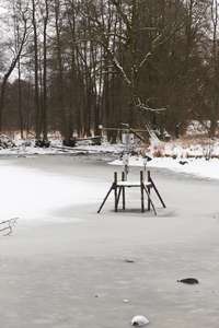 hráz rybníku Gricák před vyčištěním od náletových dřevin