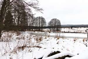 čištění hráze od náletových dřevin na rybníku Gricák