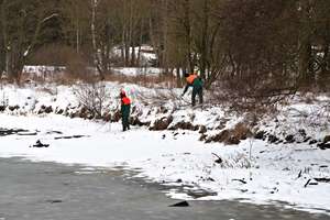 kolem rybníku Gricák tvořili náletové dřeviny neprostupný terén