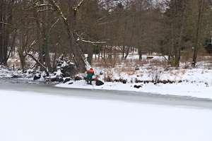 nižší stav vody a zmrzlá půda je pro vyřezávání výhodou