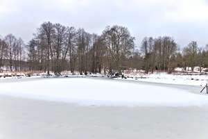 rybník Grickák, celkový pohled