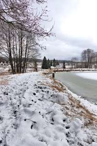 již vyčištěná hráz od náletů na rybníku Gricák