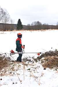 likvidace rozsáhlého porostu ostružiníku na rybníku Šindelka