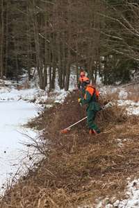 likvidace rozsáhlého porostu ostružiníku na rybníku Šindelka 2