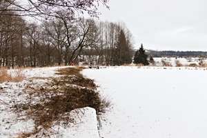 vyčistěná hráz rybníku Šindelka 3