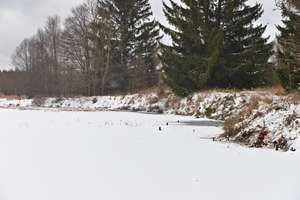 vyčištěné břehy rybníku Šindelka